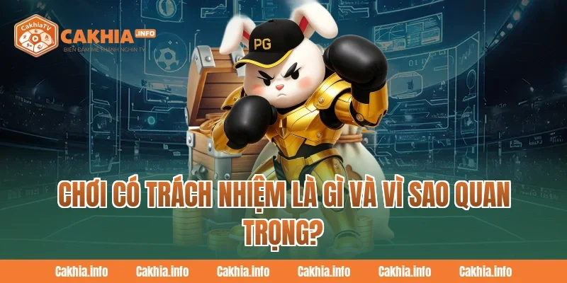 Chơi Có Trách Nhiệm là gì và vì sao quan trọng?